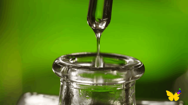 dog takes too much CBD oil