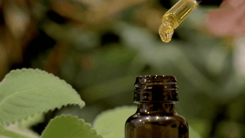 giving pet CBD