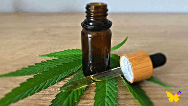 CBD oil