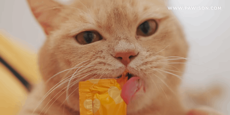 Does CBD Oil Help With Anxiety and OCD