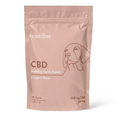 CBD Mobility Hard Chews pumpkin