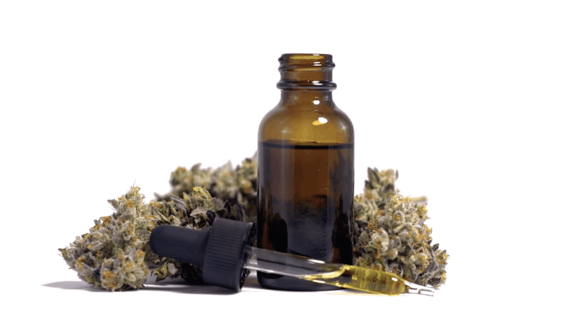 CBD oil for dogs