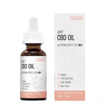 pet CBD oil full spectrum