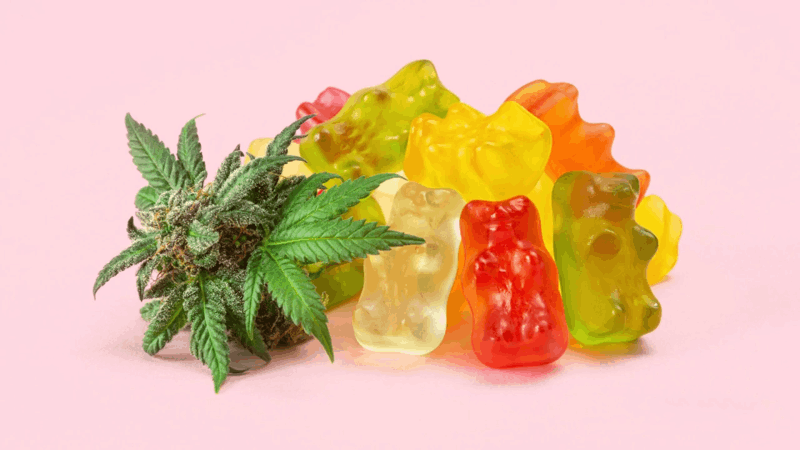 CBD gummies for your pet