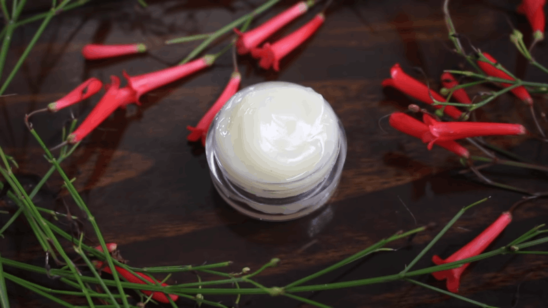 CBD Topical for Cats An Amazing Treatment for Cats Skin