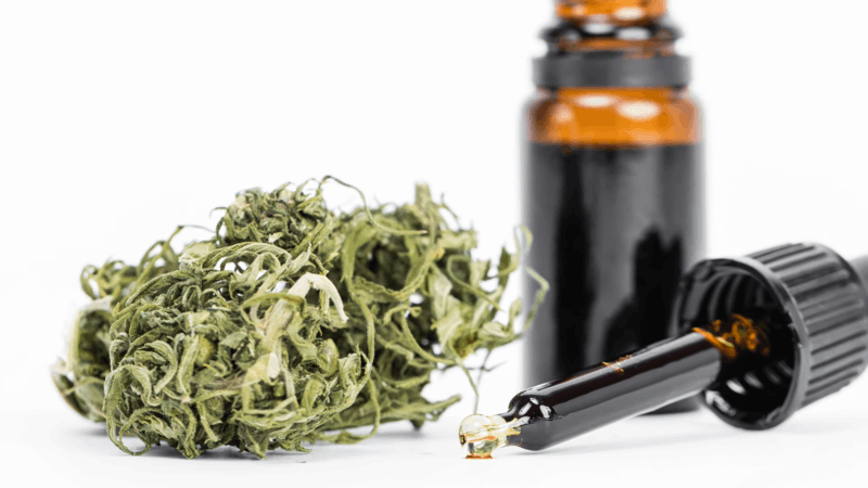 CBD for Dementia Aggression in Cats