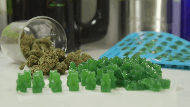 CBD gummies for dogs