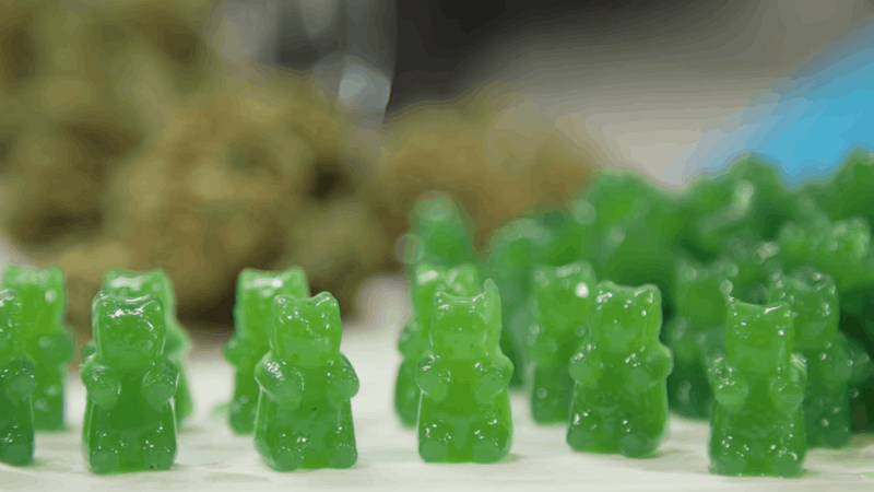 give dogs CBD gummies