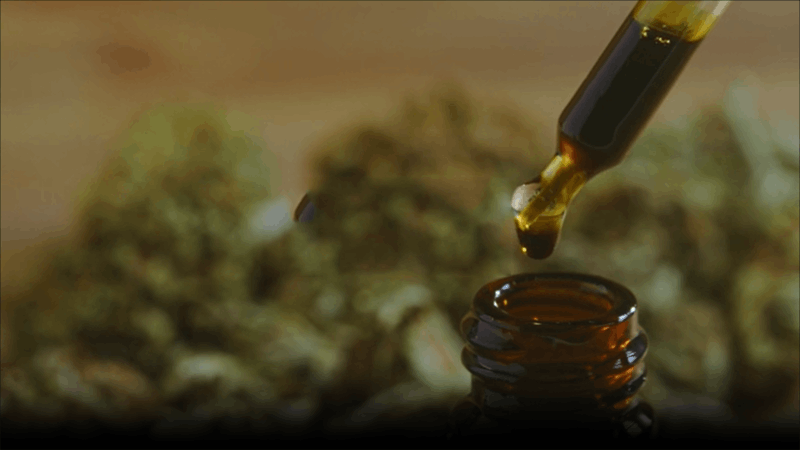 hemp oil for pain in dogs