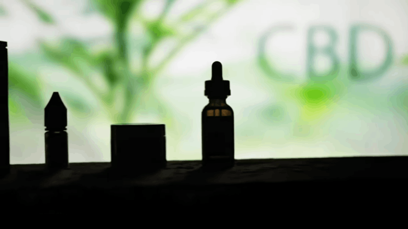cbd for our furry friends