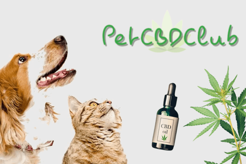 CBD FOR PET