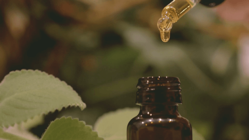 CBD for cats to calm down