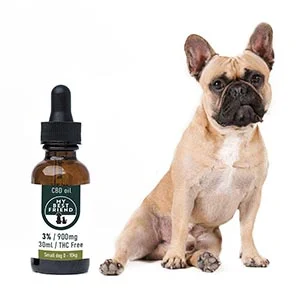 CBD For Dogs
