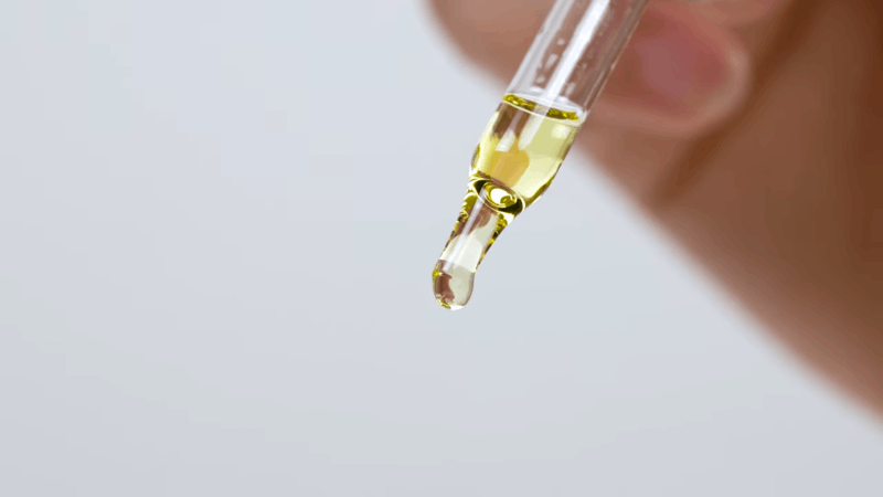 giving cbd to dogs with kennel cough