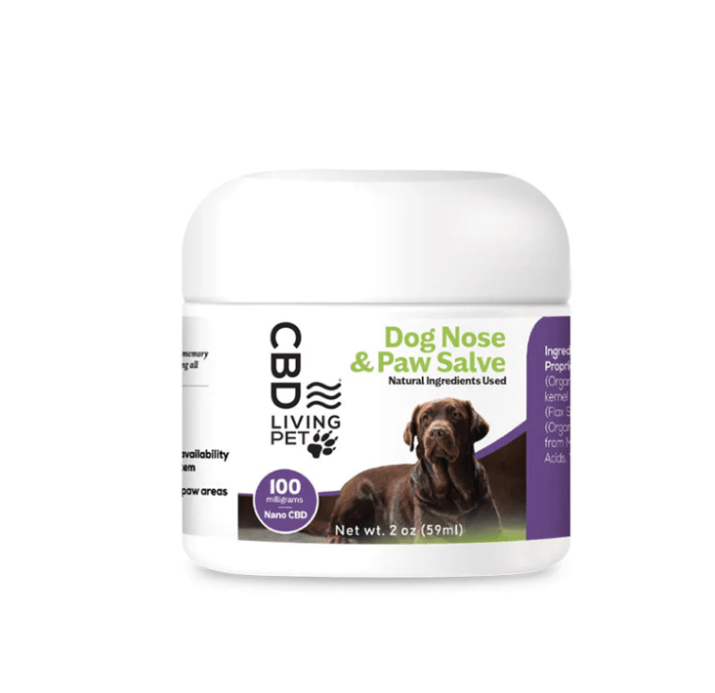 CBD for dogs - CBD Dog Nose & Paw Salve